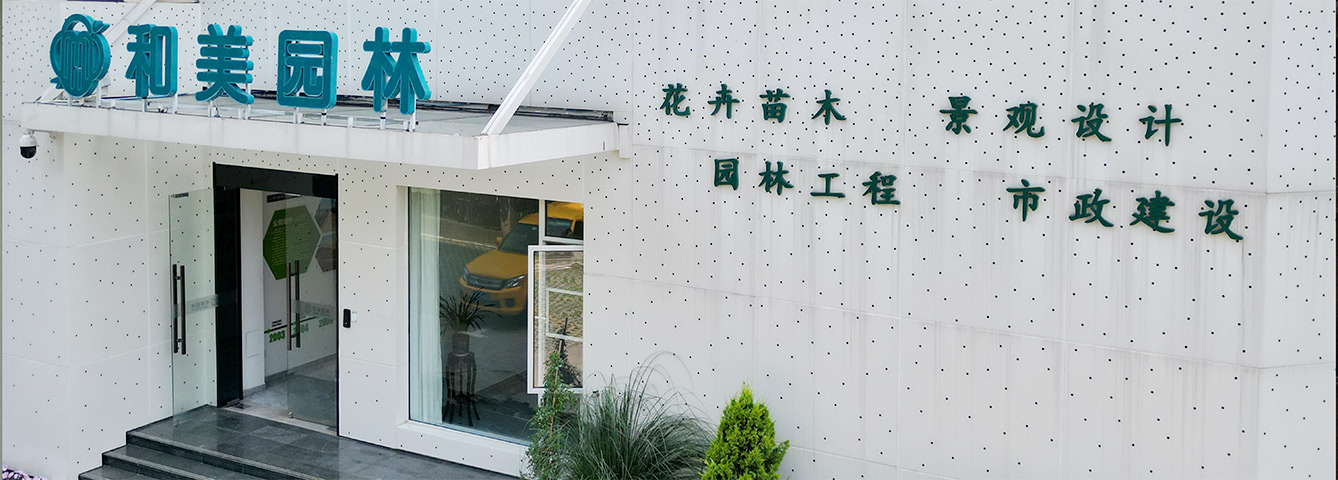 办公区