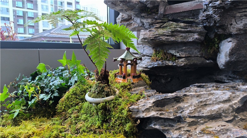 丰城屋顶花园景观设计施工实景图